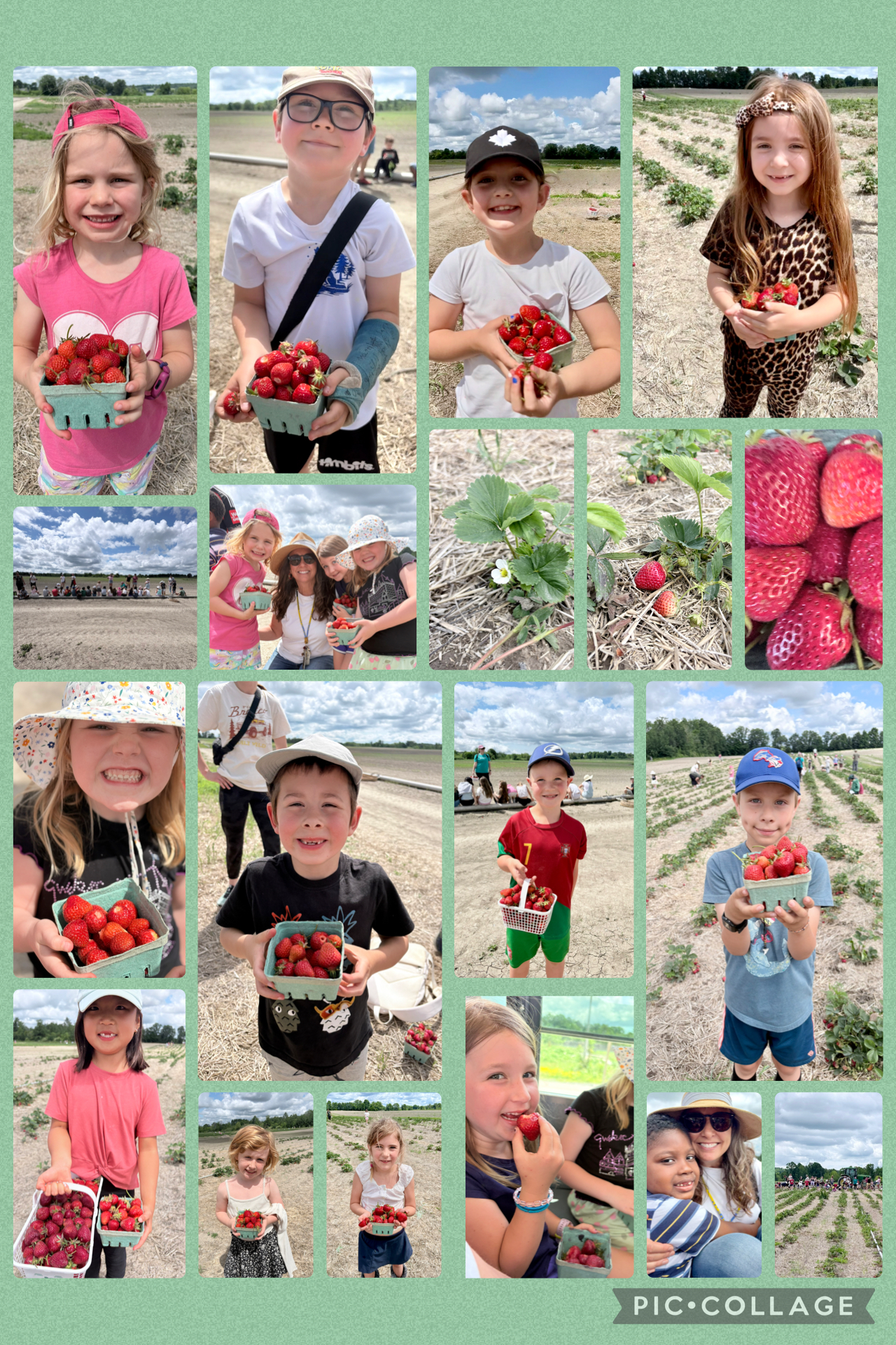 Strawberries