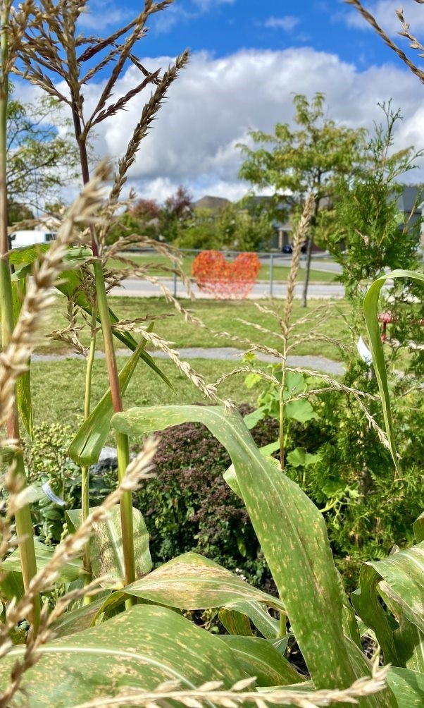 Every Child Matters Heart